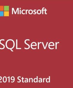 Microsoft SQL Server 2019 Standard Edition Product Key