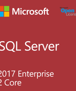 Microsoft SQL Server 2017 Enterprise 5 Users Product key