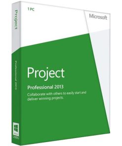 Project Professional 2013