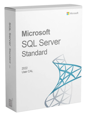 Microsoft SQL Server 2022 Standard 1 User CAL License Key